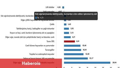 Tarım Ürünleri Üretici Fiyat Endeksi, Mart 2025 - Haberois Tarım Ürünleri Üretici Fiyat Endeksi, Mart 2025