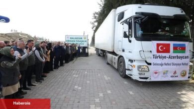 Türkiye'nin 100 bin fidanı Azerbaycan’a gönderildi