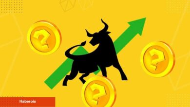 Ünlü Analist: Bu Tanınan Coin Mayıs Ayında Boğayı Yaşayacak!