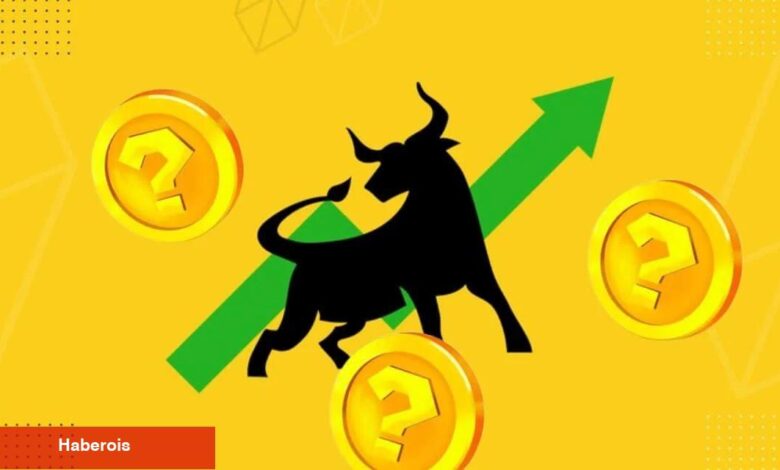 Ünlü Analist: Bu Tanınan Coin Mayıs Ayında Boğayı Yaşayacak! - Haberois Ünlü Analist: Bu Tanınan Coin Mayıs Ayında Boğayı Yaşayacak!