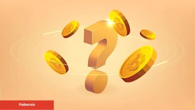 Uzman Analist Bu Coin İçin Yüzde 550’lik Bir Ralli Bekliyor!