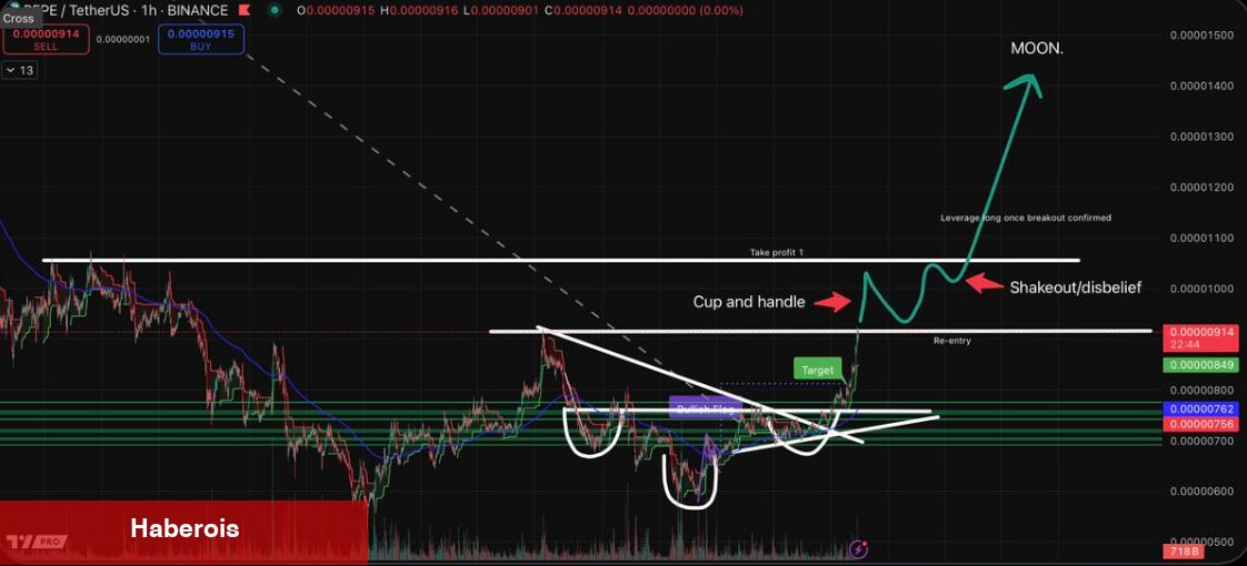 Uzmanlara Nazaran PEPE Coin Yüzde 7000’lik Ralli Yaşayacak!