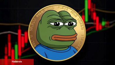 Uzmanlara Nazaran PEPE Coin Yüzde 7000’lik Ralli Yaşayacak!