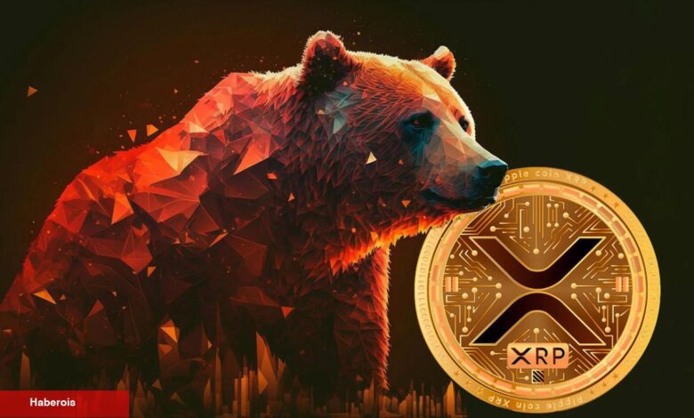 XRP Fiyatı Tehlikede: Yatırımlar, Ocak’tan Bu Yana ‘Durma’ Noktasında!
