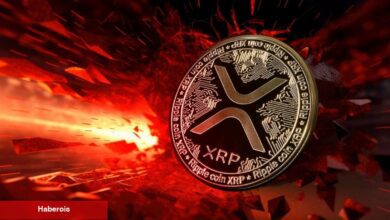 XRP için ”Memecoin” Dedi! Ünlü Analistten 3 Altcoin Önerisi