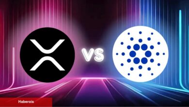 XRP mi ADA mı? Hangisi Daha Uygun Performans Gösterecek?