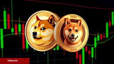 Yapay Zeka Uyardı: DOGE ve SHIB Dev Yükselecek! Son Baht mı?