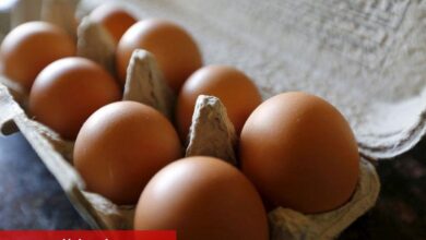 Yumurta fiyatları son dört ayda %100 zamlandı