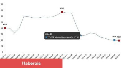 Yurt Dışı Üretici Fiyat Endeksi, Mart 2025