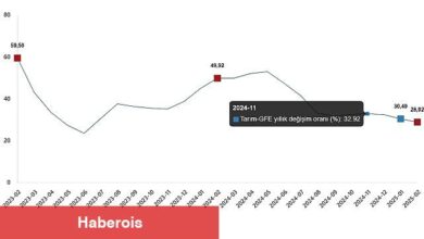 Ziraî Girdi Fiyat Endeksi, Şubat 2025