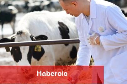 Ziraî girdide veteriner harcamaları ve tohum önde