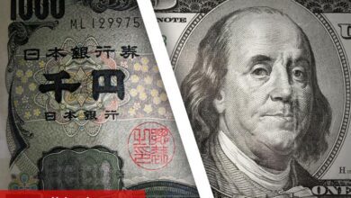 ABD ve Japonya’dan döviz kuru iletisi: “Dolar-yen oranı ekonomik temellere uygun”