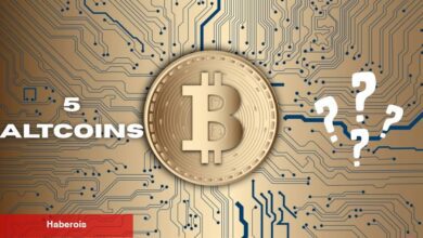 Altcoin Dönemi Geliyor Mu? İşte Alınabilecek En Uygun 5 Altcoin!