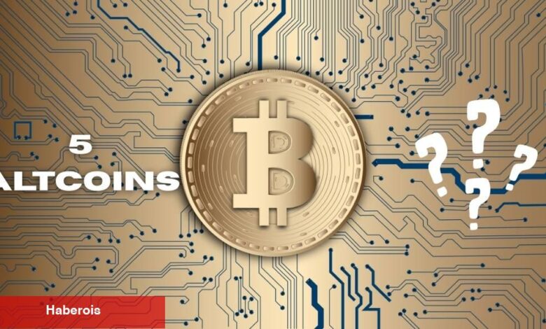 Altcoin Dönemi Geliyor Mu? İşte Alınabilecek En Uygun 5 Altcoin! - Haberois Altcoin Dönemi Geliyor Mu? İşte Alınabilecek En Uygun 5 Altcoin!