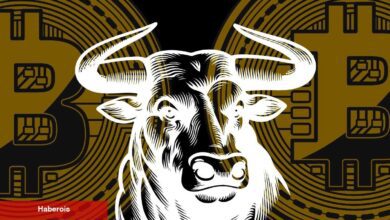 Altcoin Rallisi Başlıyor! Her Gün Yüzde 40’lık Karlar Olacak! Analist Açıkladı!