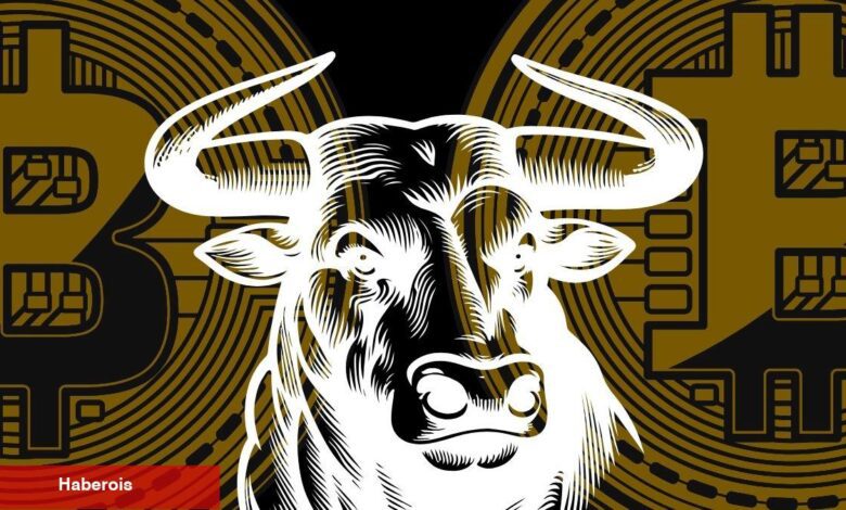Altcoin Rallisi Başlıyor! Her Gün Yüzde 40’lık Karlar Olacak! Analist Açıkladı! - Haberois Altcoin Rallisi Başlıyor! Her Gün Yüzde 40’lık Karlar Olacak! Analist Açıkladı!