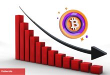 Altcoin Rallisi Gelmeden Bir Çöküş Mü Gelecek? Analist Açıkladı!