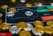 Altcoin Rallisi İçin Çok Değerli Sinyal! İşte Detaylar!