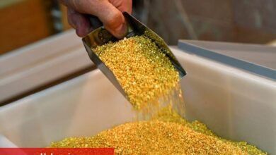 Altın fiyatları düşüyor, ABD-Çin ticaret iyimserliği nedeniyle Kasım’dan bu yana en berbat haftasına hazırlanıyor