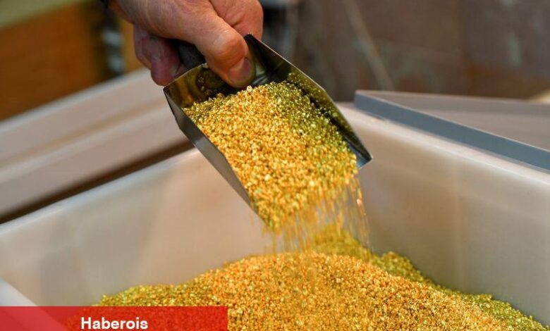 Altın fiyatları düşüyor, ABD-Çin ticaret iyimserliği nedeniyle Kasım’dan bu yana en berbat haftasına hazırlanıyor - Haberois Altın fiyatları düşüyor, ABD-Çin ticaret iyimserliği nedeniyle Kasım’dan bu yana en berbat haftasına hazırlanıyor