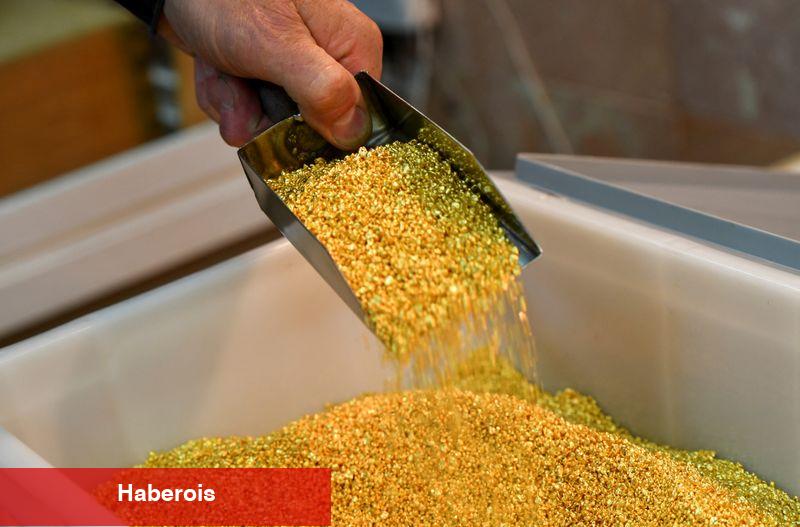 Altın fiyatları düşüyor, ABD-Çin ticaret iyimserliği nedeniyle Kasım’dan bu yana en berbat haftasına hazırlanıyor