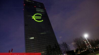 AMB: Süratli ticaret siyaseti değişiklikleri euro bölgesi finansal istikrarını test edebilir