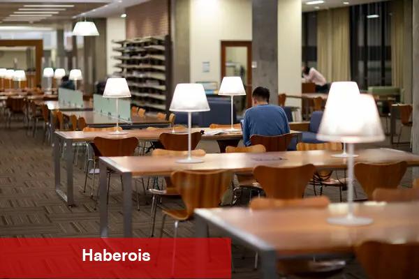 Amerika çocukların öğrenmesinden vazgeçti mi? - Haberois Amerika çocukların öğrenmesinden vazgeçti mi?