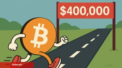 Analist Açıkladı; Bitcoin 400.000 Dolara Gidebilir!
