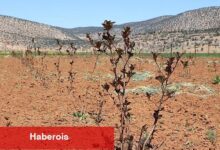 Antalya'da ziraî sulama projeleriyle aksine göç hızlandı