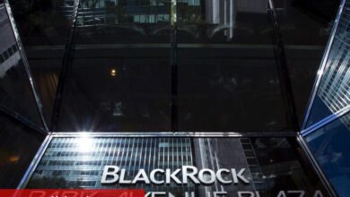 Avrupa karları piyasa dalgalanmaları ortasında dayanıklılık gösteriyor: BlackRock