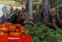 Bahar ayında çilek ve domates tepede