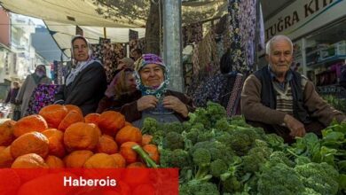 Bahar ayında çilek ve domates tepede