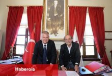 Balıklıova'da üreticinin yüzü "zeytinle" gülecek
