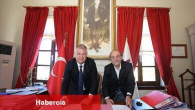 Balıklıova'da üreticinin yüzü "zeytinle" gülecek