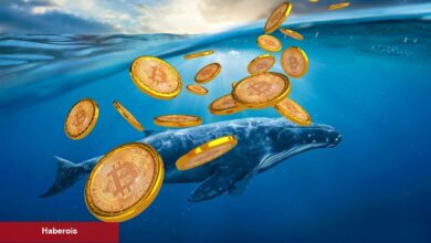 Balina Devasa Bitcoin Long Konumu Açtı! Boğa Dönemi Mu Başlıyor?