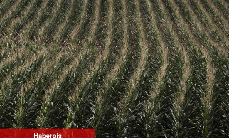 Bayraktar: Mısır ile güç alanındaki iş birliğimizi güçlendirecek iki kıymetli mutabakata imza attık - Haberois Bayraktar: Mısır ile güç alanındaki iş birliğimizi güçlendirecek iki kıymetli mutabakata imza attık
