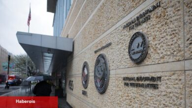 Beşeri bilimlere karşı dava, Doge hakkında detaylar sunuyor