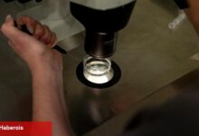 Beyaz Saray'daki IVF müzakerelerinin içinde kilit rapor yaklaştıkça