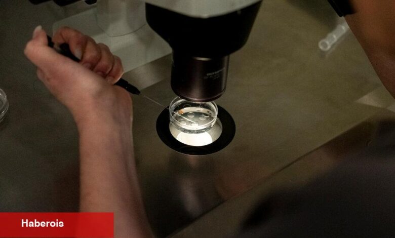 Beyaz Saray'daki IVF müzakerelerinin içinde kilit rapor yaklaştıkça - Haberois Beyaz Saray'daki IVF müzakerelerinin içinde kilit rapor yaklaştıkça