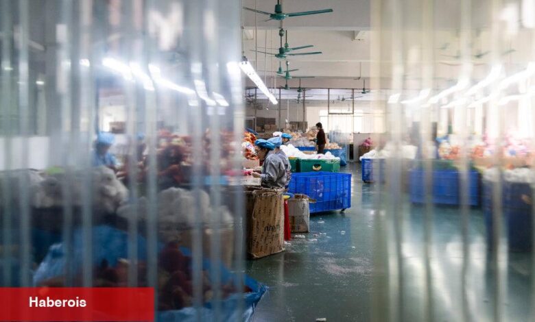 Bir nakliye boşluğu kapandığında, küçük çevrimiçi satıcılar karışıyor - Haberois Bir nakliye boşluğu kapandığında, küçük çevrimiçi satıcılar karışıyor
