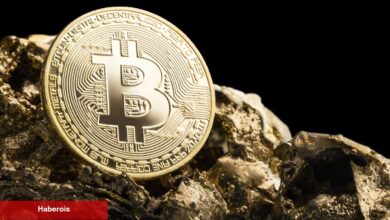 Bitcoin 500.000 Dolar Olacak Ancak Ne Vakit?