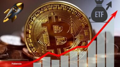 Bitcoin ETF’leri 8 Gündür Yükselişte! Bu Ne Manaya Geliyor?