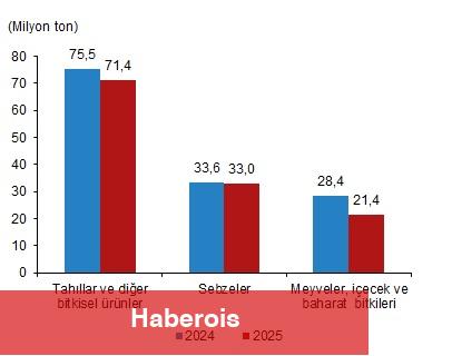 Bitkisel Üretim 1.Tahmini, 2025