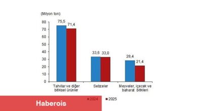 Bitkisel Üretim 1.Tahmini, 2025