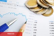 BOJ/Noguchi: Faiz artırımları konusunda ölçülü, adım adım bir yaklaşım benimsenmeli