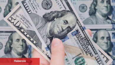 Bu hafta dolar ve euro kazandırdı