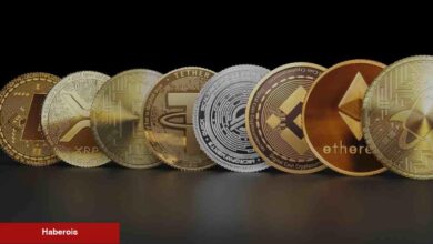 Bu Kripto Paralar Yükselecek! Deneyimli Analist Açıkladı!