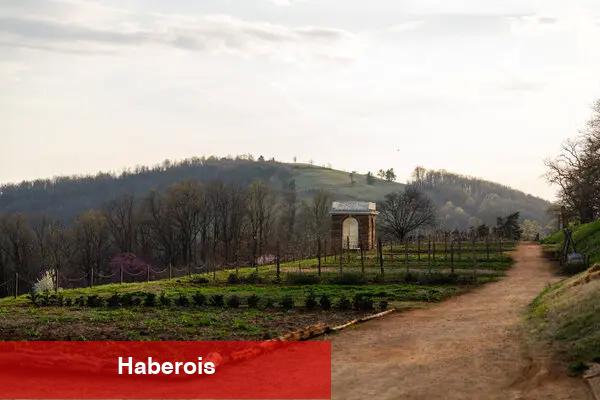Bu kurucu babalar çılgınlıktı. Belki bir şeyler öğrenebiliriz.
