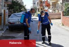 Buca'da Haşere ve Zararlılara Karşı İlaçlama Seferberliği
