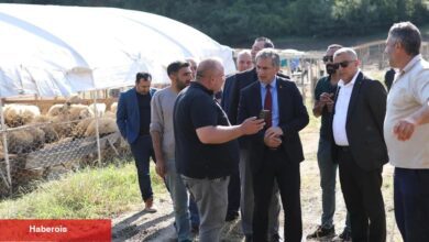 Bursa Gemlik'te Kurban Pazarı’nda satışlar başladı